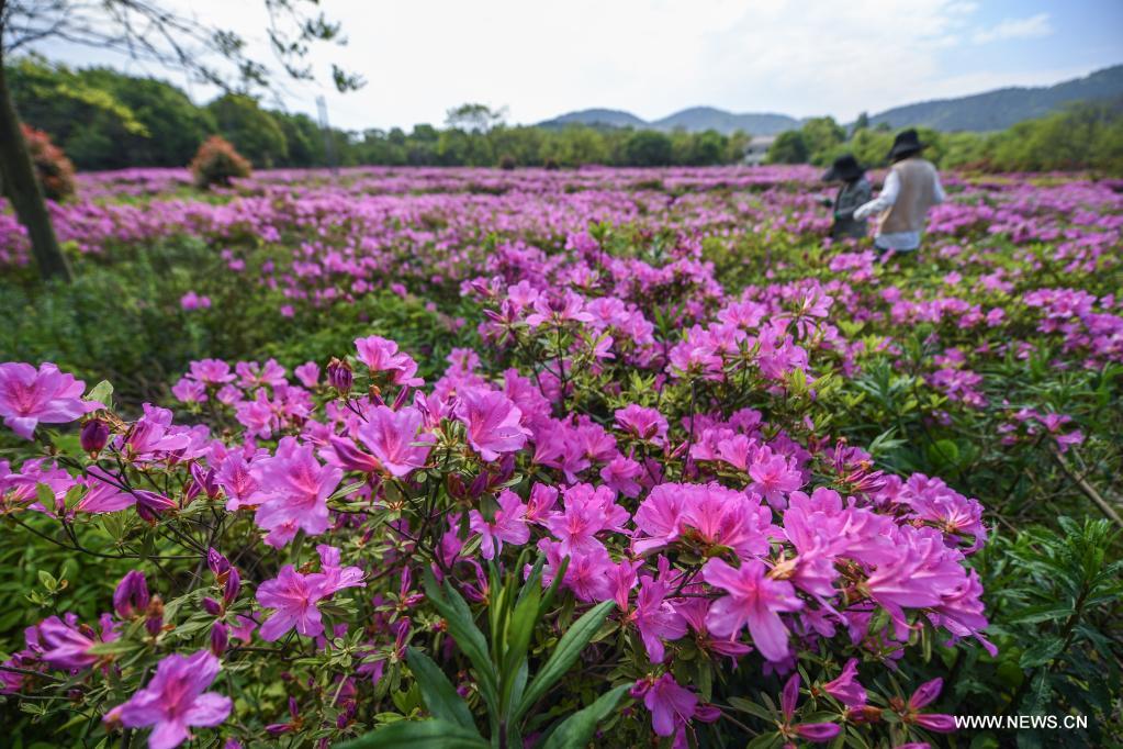 ????? ????? ????? ?????? ?? ???? ?????