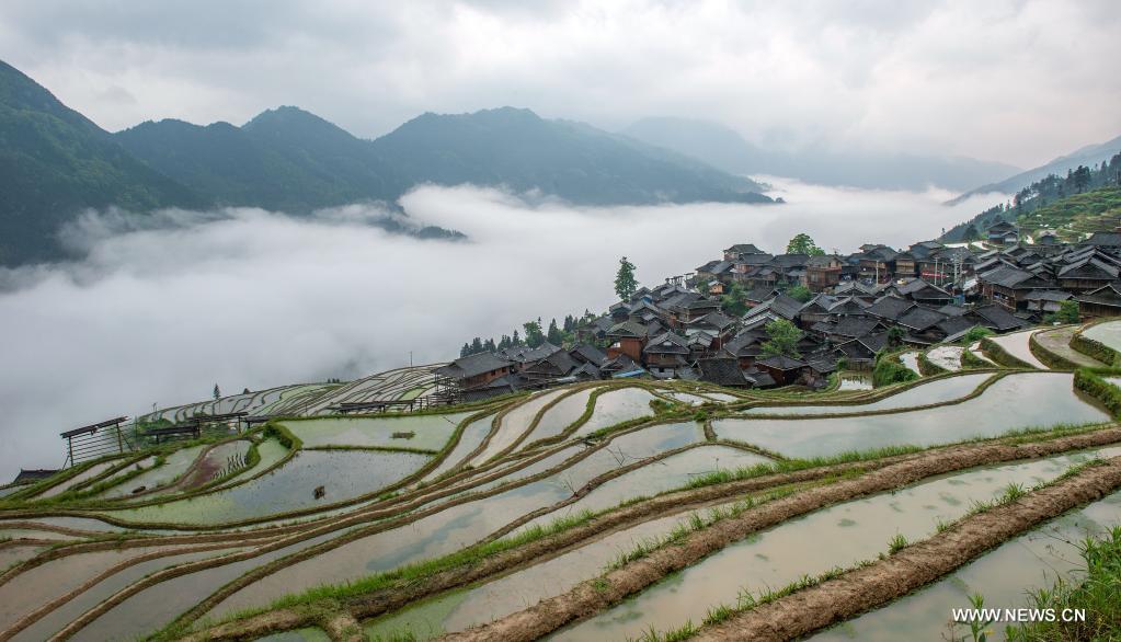 ?????? ??????? ????? ???? ?????