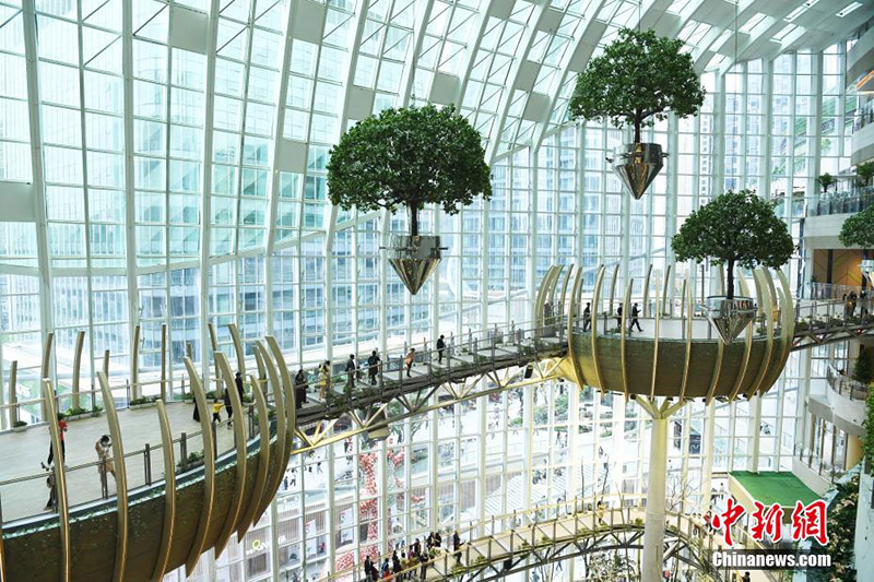 ???? ?????? ???????? ?????? ???? ?? ????? ?????????? ????????