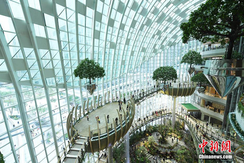 ???? ?????? ???????? ?????? ???? ?? ????? ?????????? ????????