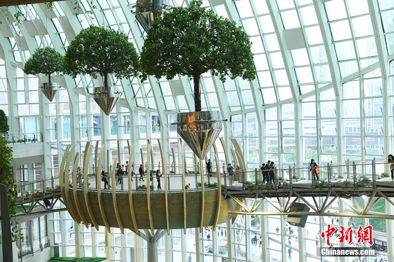 ???? ?????? ???????? ?????? ???? ?? ????? ?????????? ????????