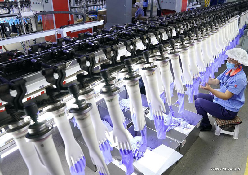 ?????? ?????? ????? ???? ????? ?????? ???????? ??????