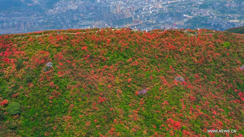 ???? ???? ???????? ?? ?????? ????? ???? ?????