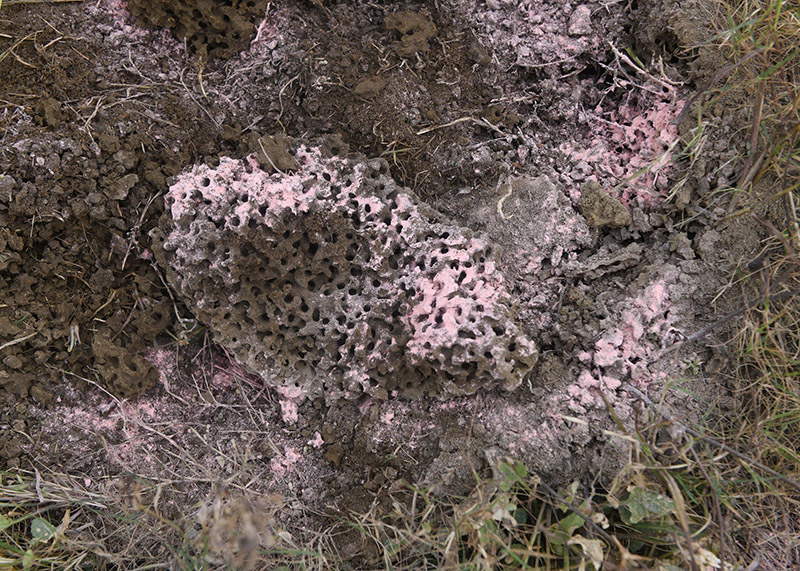 ?????? ????????? ???? ????? ??? ??? ????? ??????