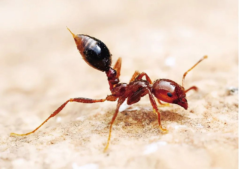 ?????? ????????? ???? ????? ??? ??? ????? ??????