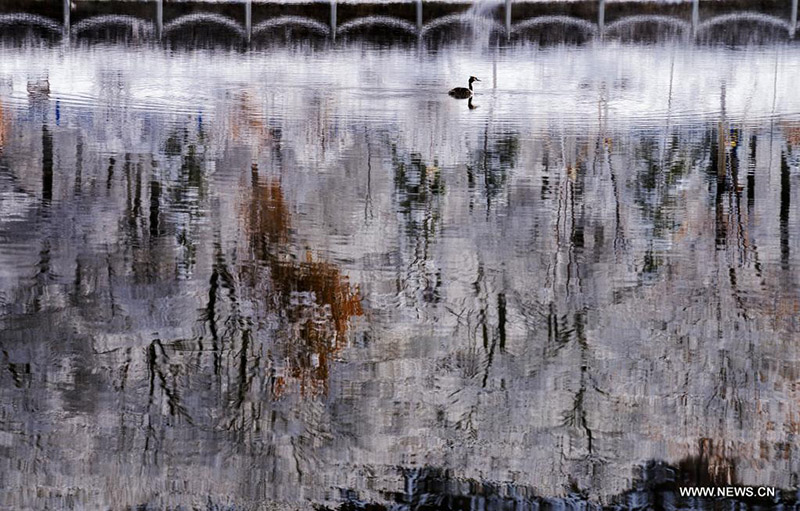 ????? ????? ?? ?????? ???? ???? ?????