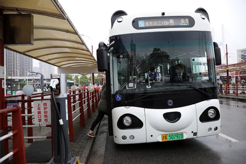 ?????? ???? ?????? ???????