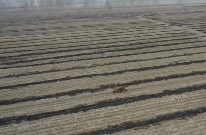 ??? ??? ?????? ??? ??? ???? ?????? ????????? ??? ????? ??? ???? ????? ????? ???? ???? ?????