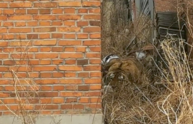 ??? ??? ?????? ??? ??? ???? ?????? ????????? ??? ????? ??? ???? ????? ????? ???? ???? ?????