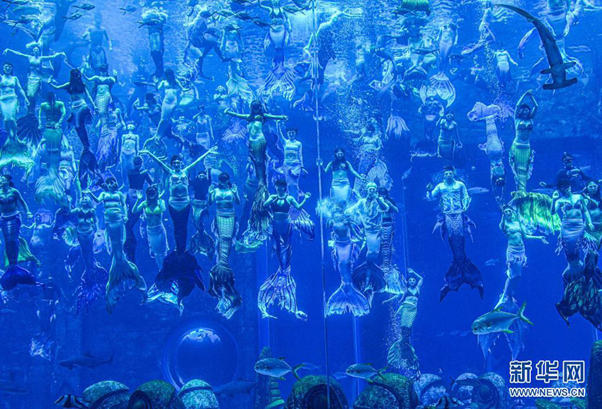 ????? ???????? ????? ????? ????? ??? ?????? 