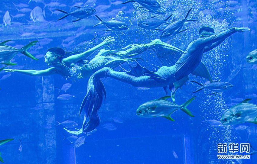 ????? ???????? ????? ????? ????? ??? ?????? 