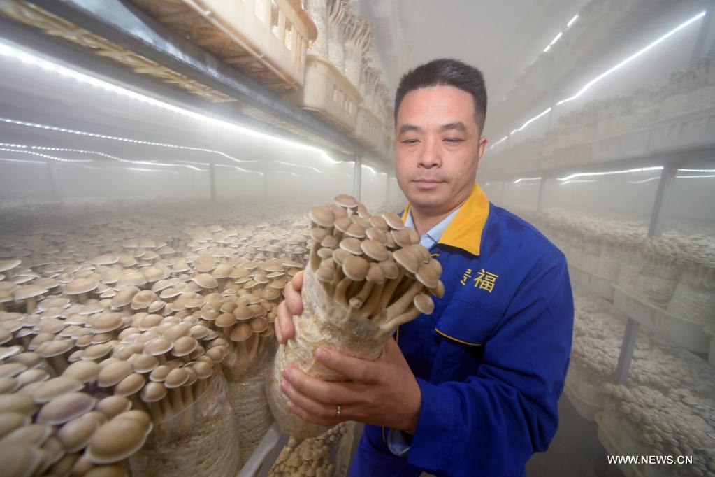 ????? ????? ?? ???? ???? ?????