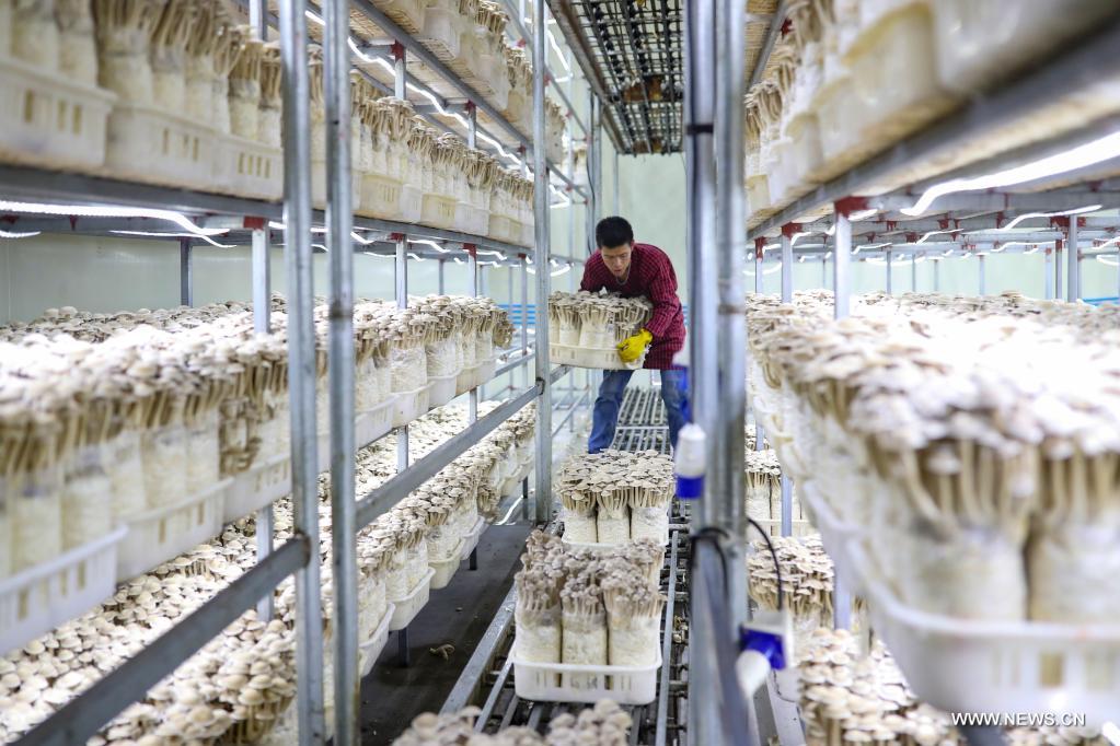 ????? ????? ?? ???? ???? ?????