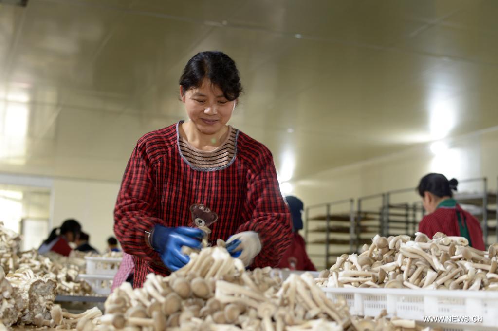 ????? ????? ?? ???? ???? ?????