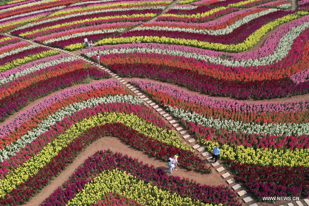 ??????? ????????? ????? ??? ???? ?? ?????