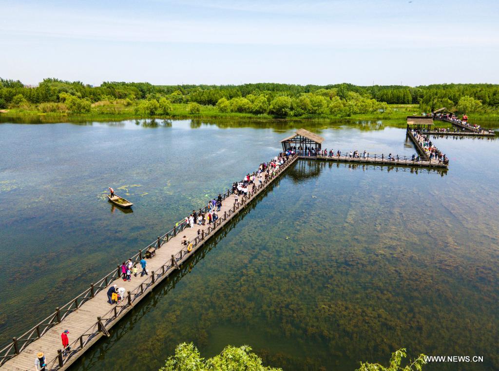 ????? ???? 230 ????? ???? ?????? ????? ???? ???? ??? ??????