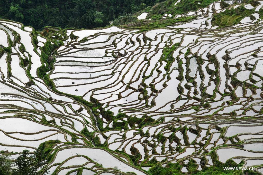 ???? ???????? ?? ?????? ?????? ????? ???? ?????