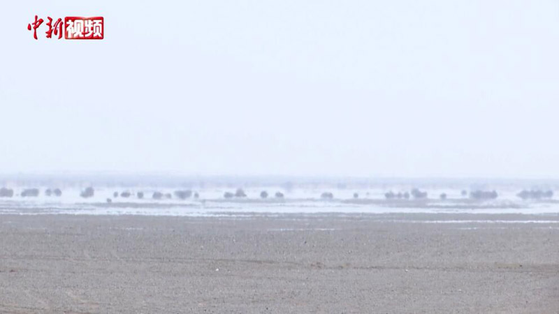 ?????? ???? ????? ?????? ?? ????????