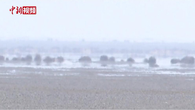 ?????? ???? ????? ?????? ?? ????????