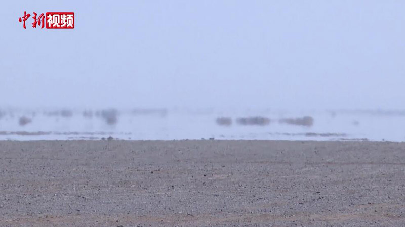 ?????? ???? ????? ?????? ?? ????????