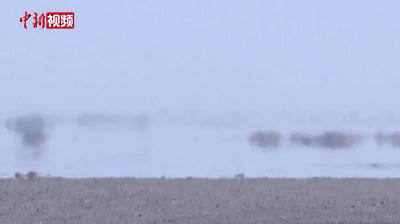 ?????? ???? ????? ?????? ?? ????????