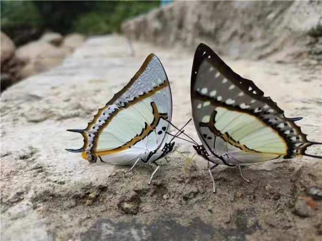 150 ????? ?????...???? ???? ????? ?????? 