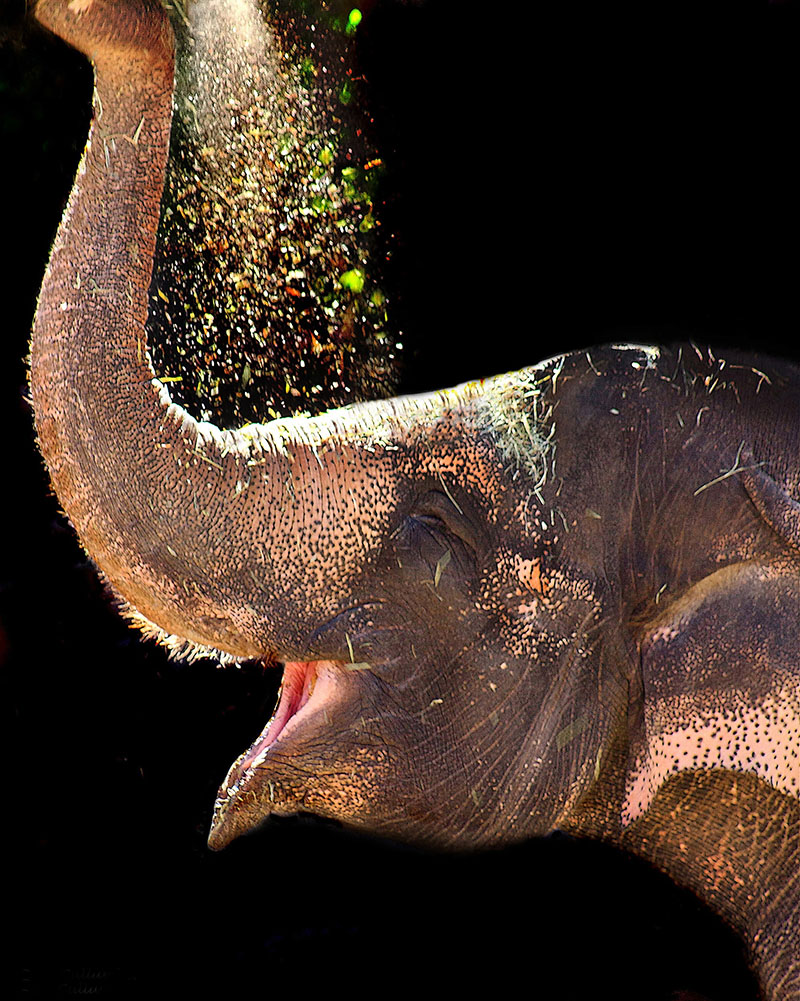 ????? ??????? ????????? .. ????????? ????? ?????