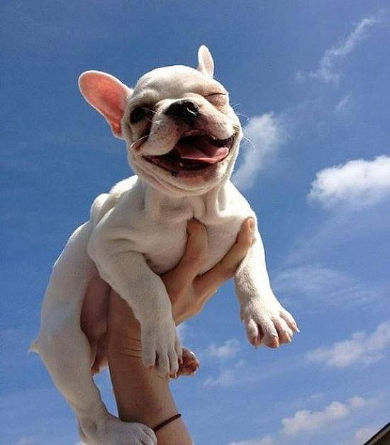 ????? ??????? ????????? .. ????????? ????? ?????