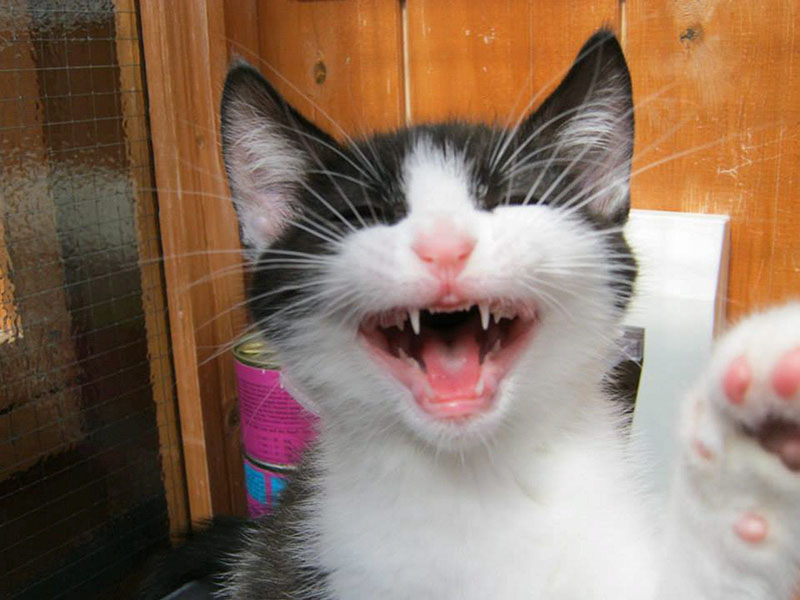 ????? ??????? ????????? .. ????????? ????? ?????