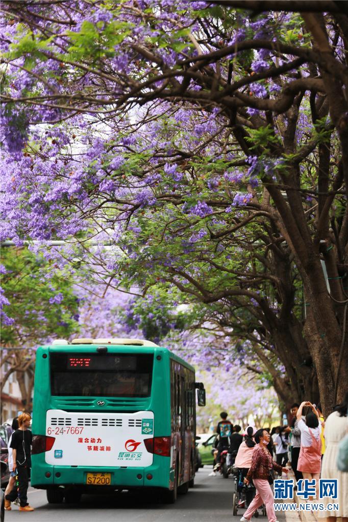 ???? ????????? ???? ??? ??? ???????