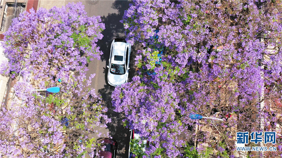 ???? ????????? ???? ??? ??? ???????