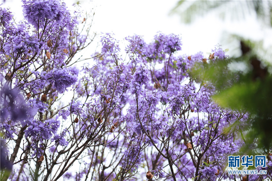 ???? ????????? ???? ??? ??? ???????