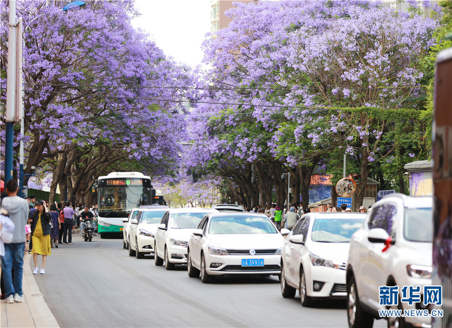 ???? ????????? ???? ??? ??? ???????