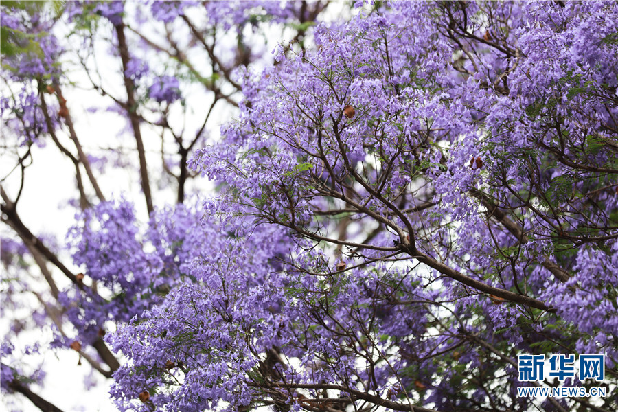 ???? ????????? ???? ??? ??? ???????