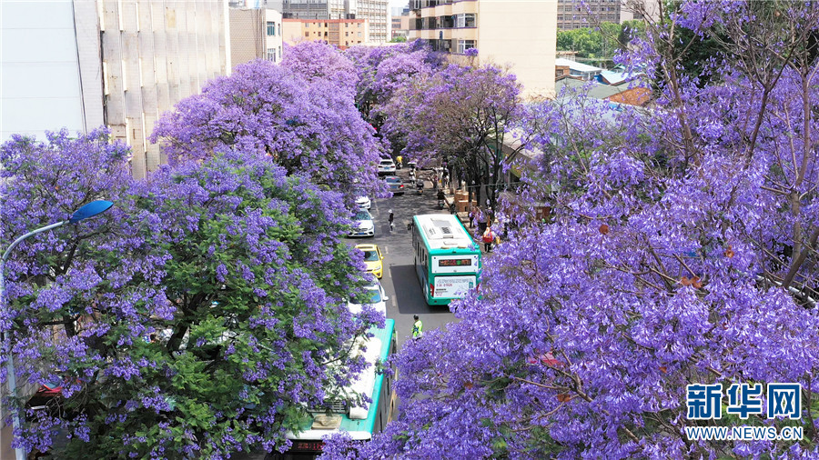 ???? ????????? ???? ??? ??? ???????