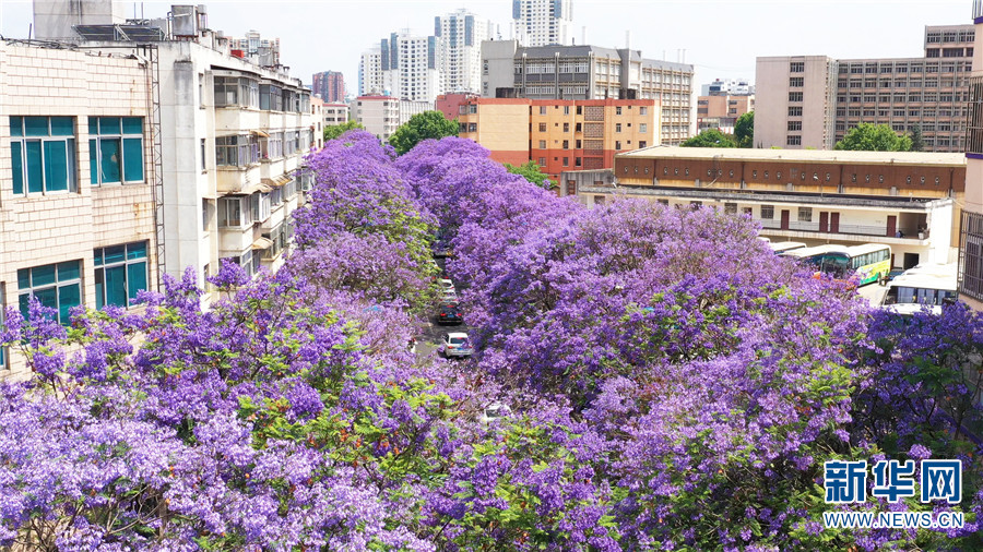 ???? ????????? ???? ??? ??? ???????