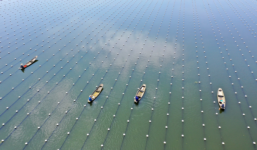 ????????  ???????: ????? ?????? ???????? ??? ????? ?????