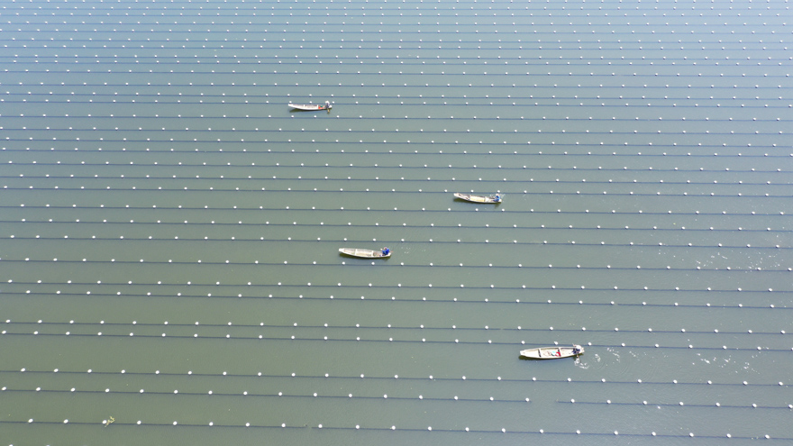 ????????  ???????: ????? ?????? ???????? ??? ????? ?????