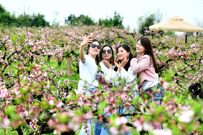 ??? ???????? ???????? ?? ?????? ?????