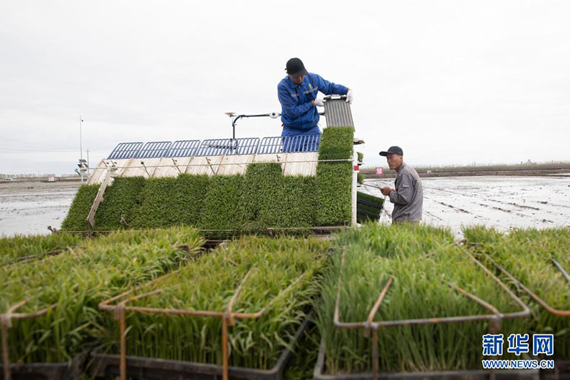 ???? ???? ?????? ???? ?? ????? ????? ??????? ???????????