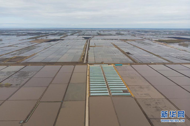 ???? ???? ?????? ???? ?? ????? ????? ??????? ???????????