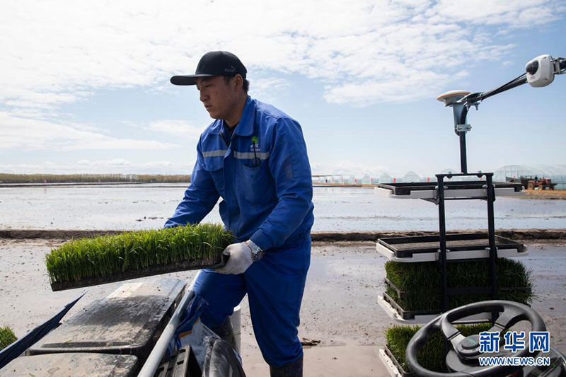 ???? ???? ?????? ???? ?? ????? ????? ??????? ???????????