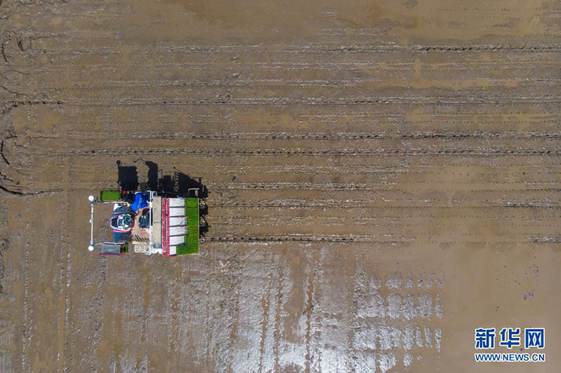 ???? ???? ?????? ???? ?? ????? ????? ??????? ???????????