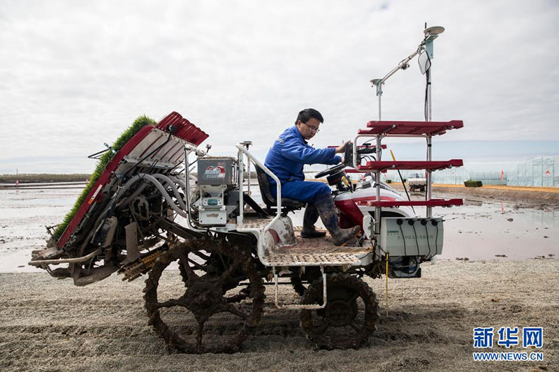 ???? ???? ?????? ???? ?? ????? ????? ??????? ???????????