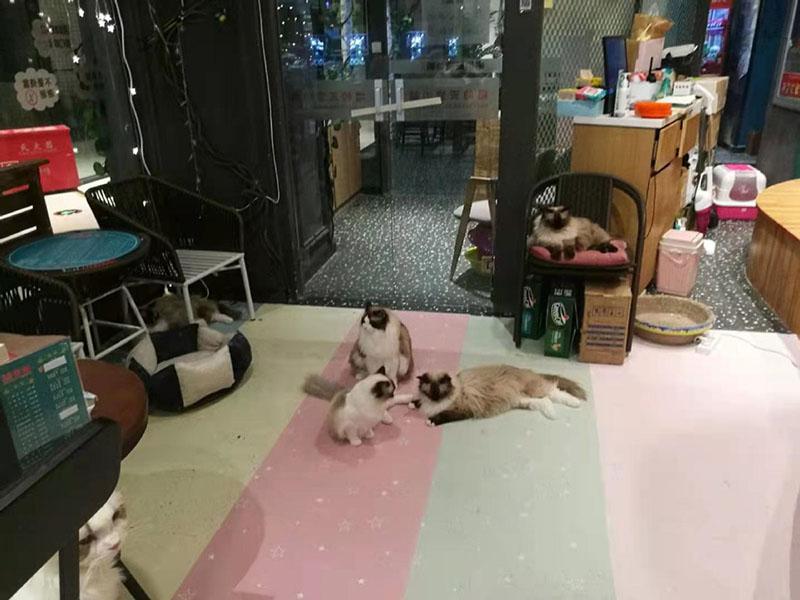 ????? ????????? ??????? ????? ?? ????? ????? ?? ?????