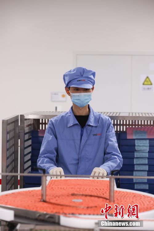 ????? ???? ????? ?????? ???????? ???????