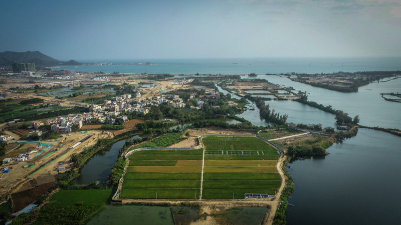 ?????? ????? ???? ????? ??? ?????