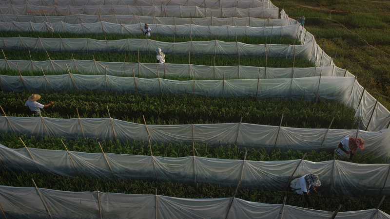 ?????? ????? ???? ????? ??? ?????