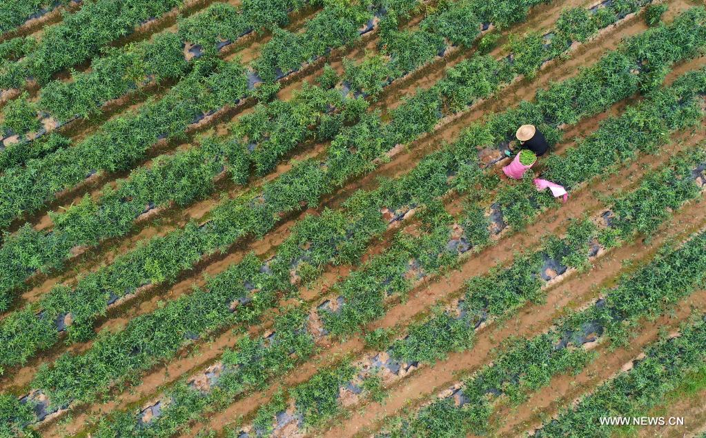 ??? ?????? ????? ?? ???? ?????? ??????? ???????