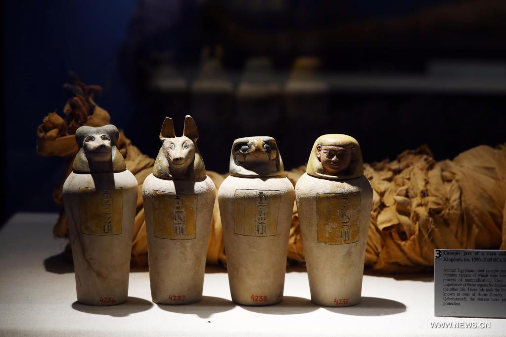 ??? ????? ?????? ?? ???? ??????? ??????